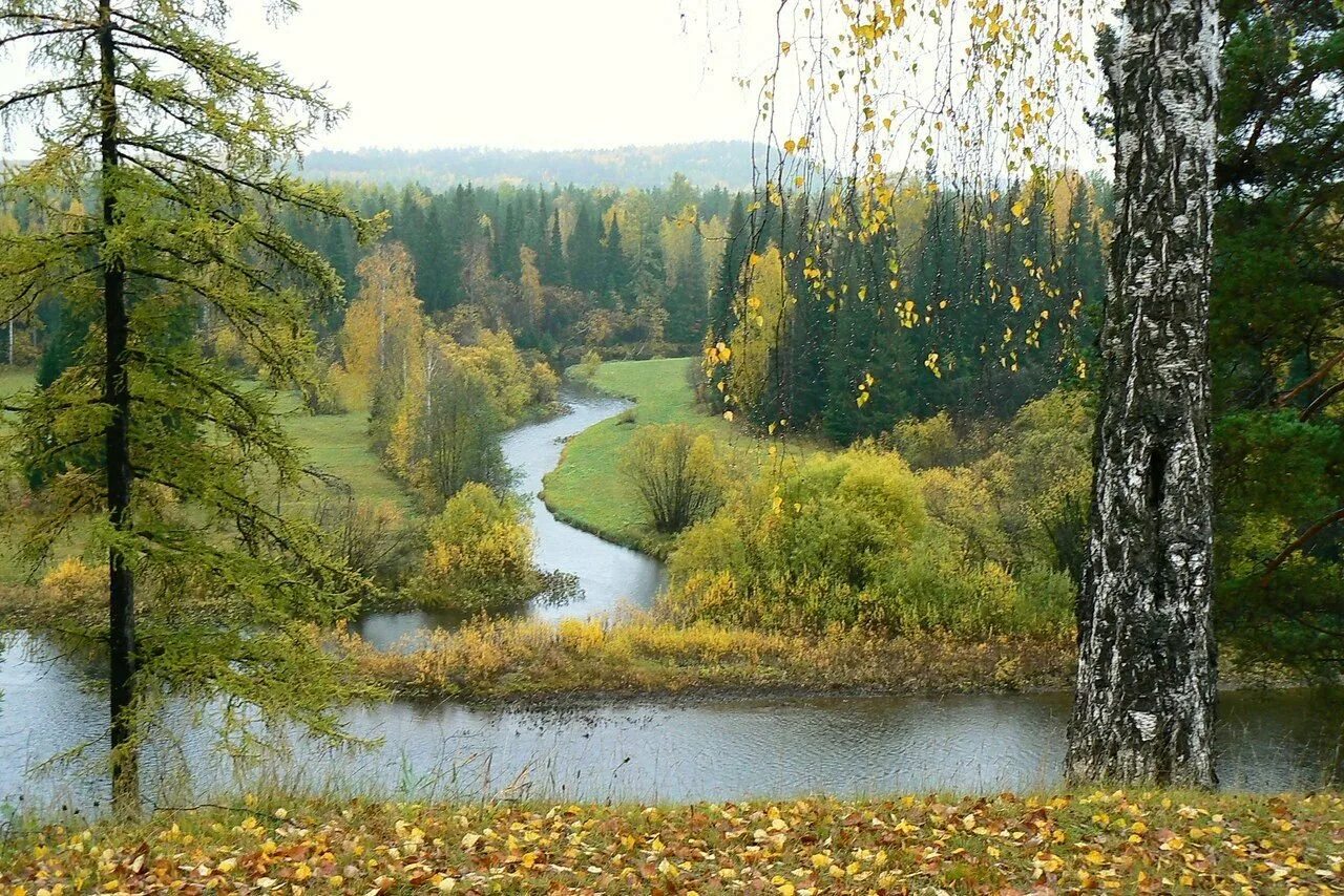 Река Сосьва Свердловская область. Заповедник малая Сосьва. Озера, малая Сосьва. Река Сосьва камень.