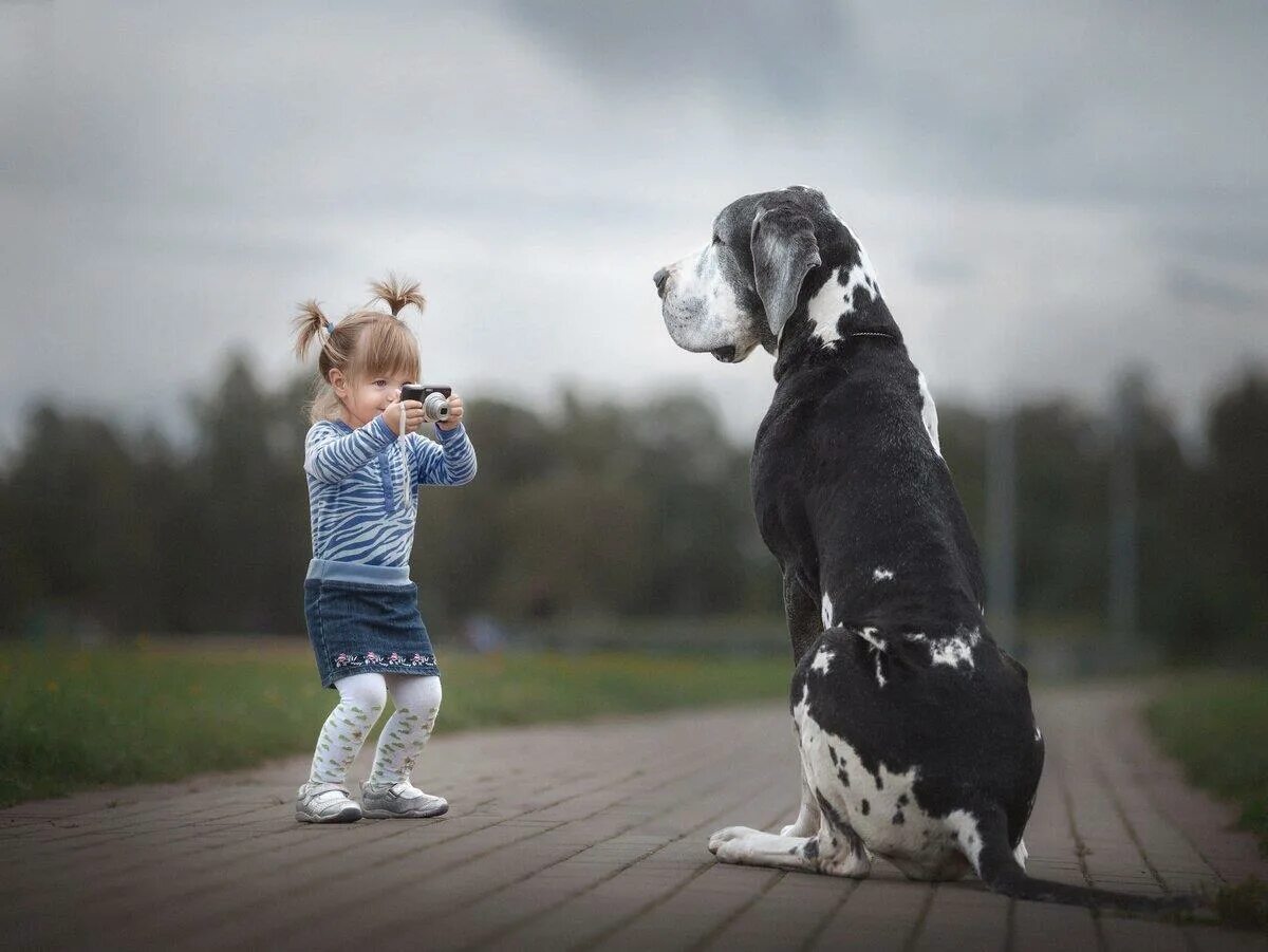 Выше детка. Энди Селиверстов фотограф. Собака для детей. Дети и большие собаки.