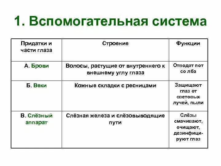 Заполните таблицу строение органа зрения. Таблица по биологии 8 класс части глаза строение и функции. Таблица по биологии 8 класс структура глаза и функции. Строение и функции глаза таблица. Строение глаза таблица часть глаза строение и функции.