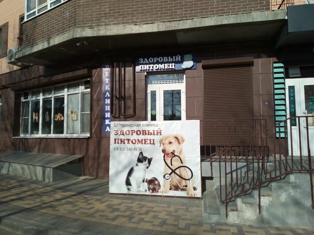 ветклиника аксай шолохова. доктор айболит стачки 101. аксай ветеринарная клиника айболит шолохова. ветеринарные аксай. зооветснаб аксай.