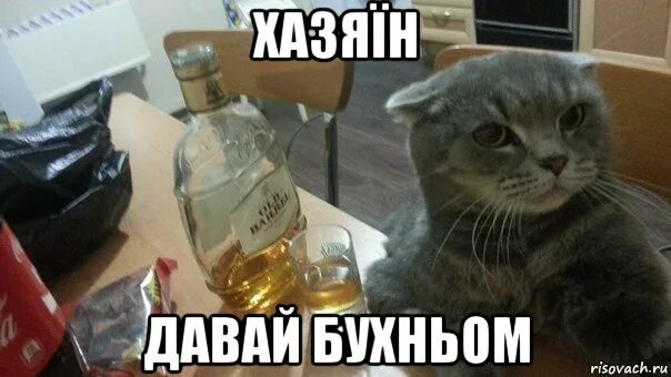 Давай быстрее дорогой давай быстрее
