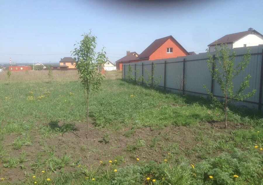 Погода в кукуевке белгородской. Погода в кукуевке белгородской. Село кукуевка улица молодежная. Деревня кукуевка десногорск. Километр.