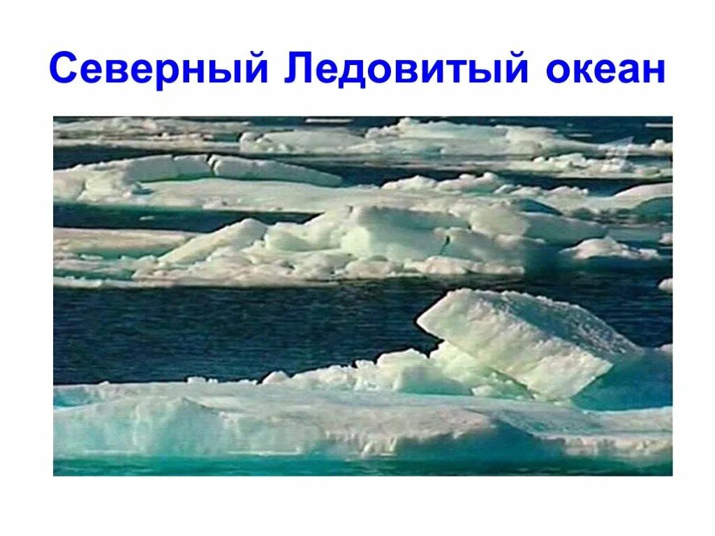 Океан северного ледовитого презентация. Презентация на тему северно Ледовитый океан. Северно Ледовитый океан равнина. Окружающий мир 1 класс Северный Ледовитый океан и Антарктида. Моря Северо Ледовитого океана для 4 класса.