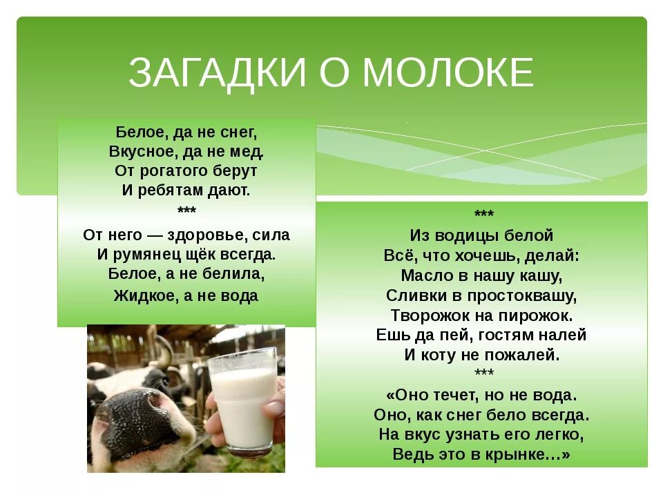 Загадка про молоко. Загадка про корову. Загадка про корову для детей. Молоко дает корова загадка. Загадка про корову для детей.
