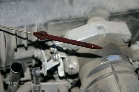 9 щуп. Уровень масла бмв е46. Масляный щуп gx470. Bmw e36 уровень масла. Уровень масла бмв е46.