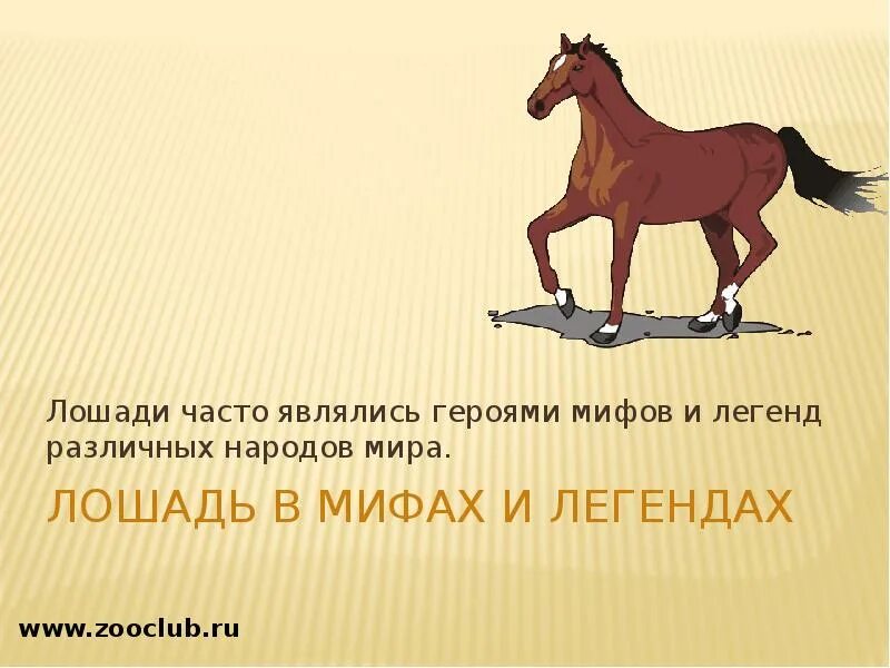 Легенды про коней