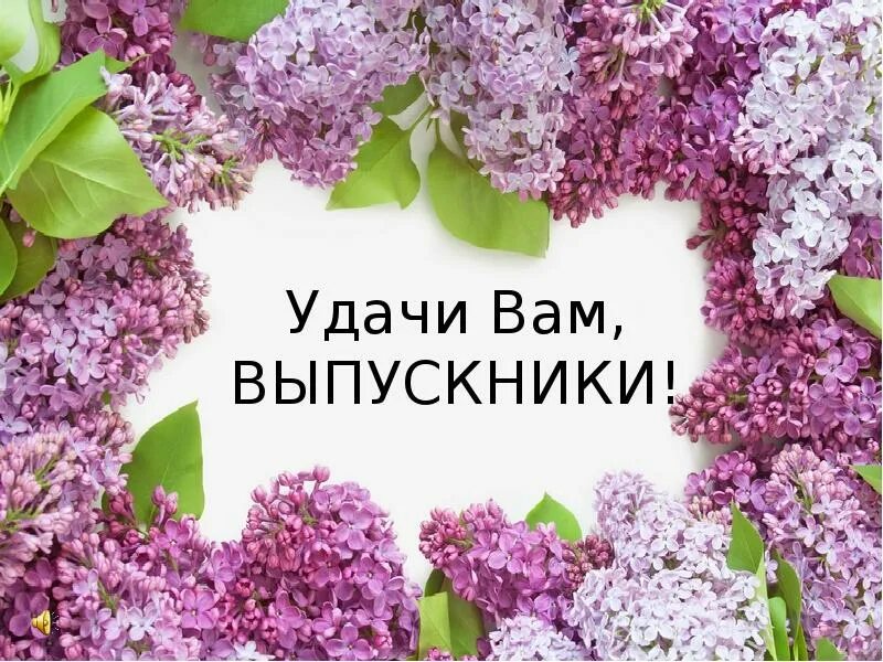 надпись удачи. удачи выпускник. слайд удачи вам выпускники. удачи вам выпускники. удачи вам выпускники.