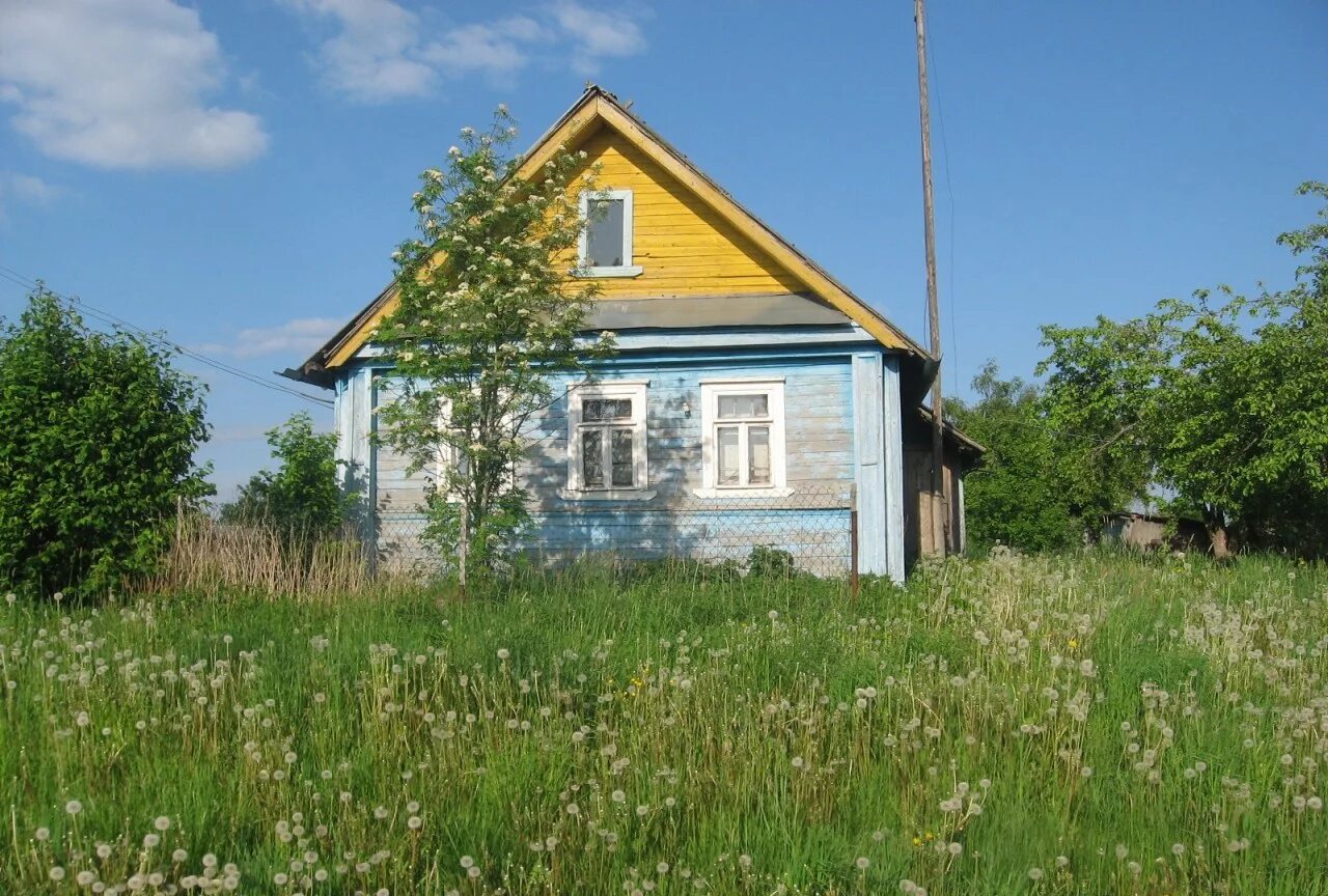 Участок в волховском районе ленинградской. Хвалово волховский район школа. Великое село волховский район лес. Участок в волховском районе ленинградской. Участок в волховском районе ленинградской.