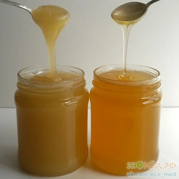 Растопленный мед. Растопленный мед засахаривается. Растопить засахаренный мед. Для растапливания меда.