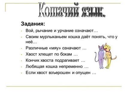 Мяу в переписке