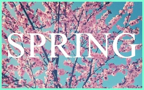 Spring надпись. Открытка hello Spring. Spring картинки с надписью. Hello Spring надпись. March please