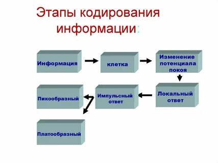Какие этапы кодирования видеоинформации вам известны кратко
