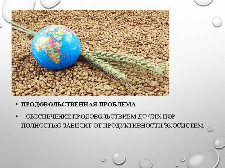 Проблемы обеспечения продовольствия. Проблемы обеспечения продовольствия
