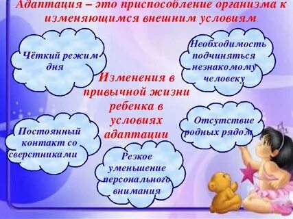 Виды адаптации в саду