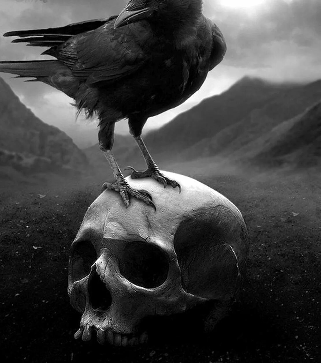 Зловещая птица. Мрачные птицы. Ворон на черепе. Мрачный ворон. Черный ворон.