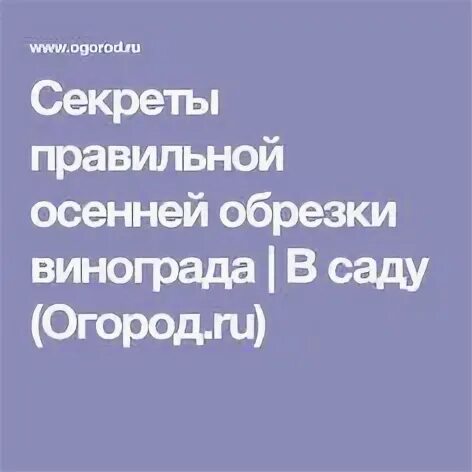 Правильно осенью