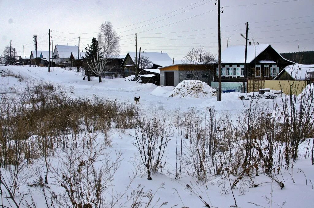 Погода село курьи. Деревня Заимка Свердловская область Сухоложский район. С Курьи Сухоложского района Свердловской области. Храм Курьи Сухоложского района. Село Новопышминское.