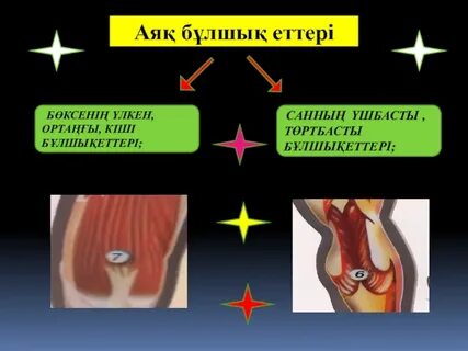 Орыс фильмдеріндегі секс көріністері онлайн