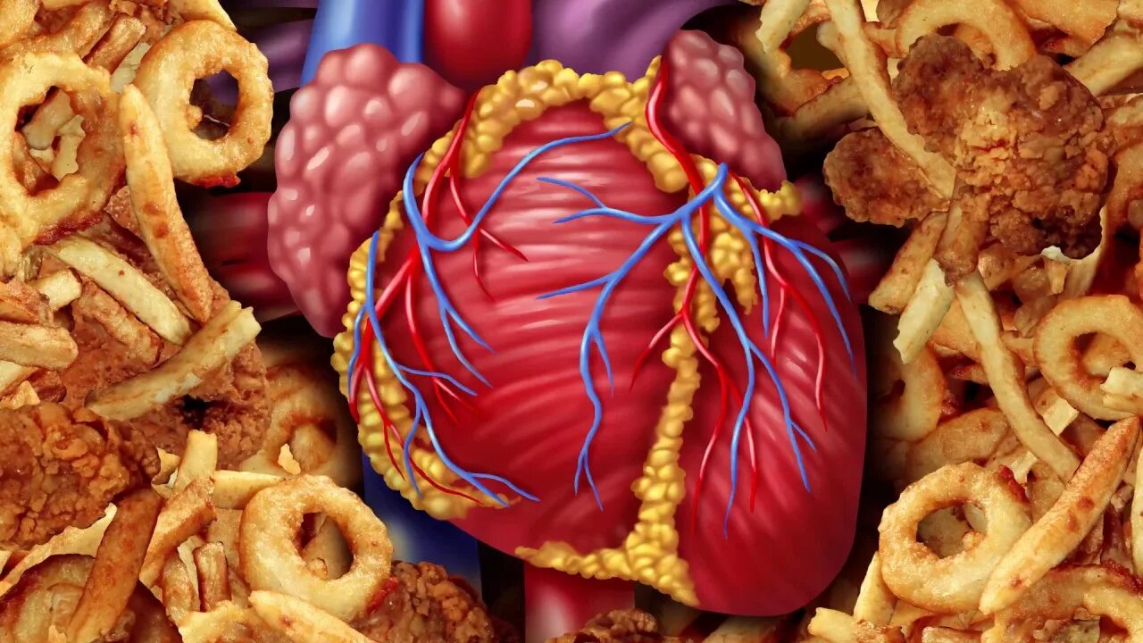 Влияние фаст фуда. Вредные продукты. Сердце в организме. Вредная еда. Неправильное питание и сердце.