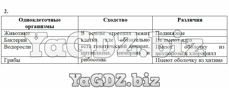 Сходство и различие одноклеточных. Таблица сходства и различия одноклеточных организмов. Сравните одноклеточных животных с бактериями. Сходства и различия одноклеточных организмов. Сходства и различия одноклеточных животных с бактериями.