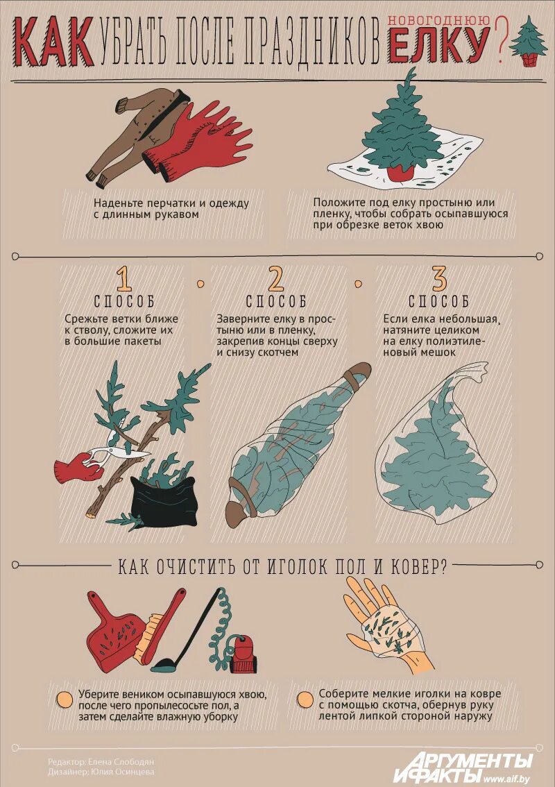 Как убрать новогоднюю ёлку и не намусорить иголками Инфографика Cвободное время
