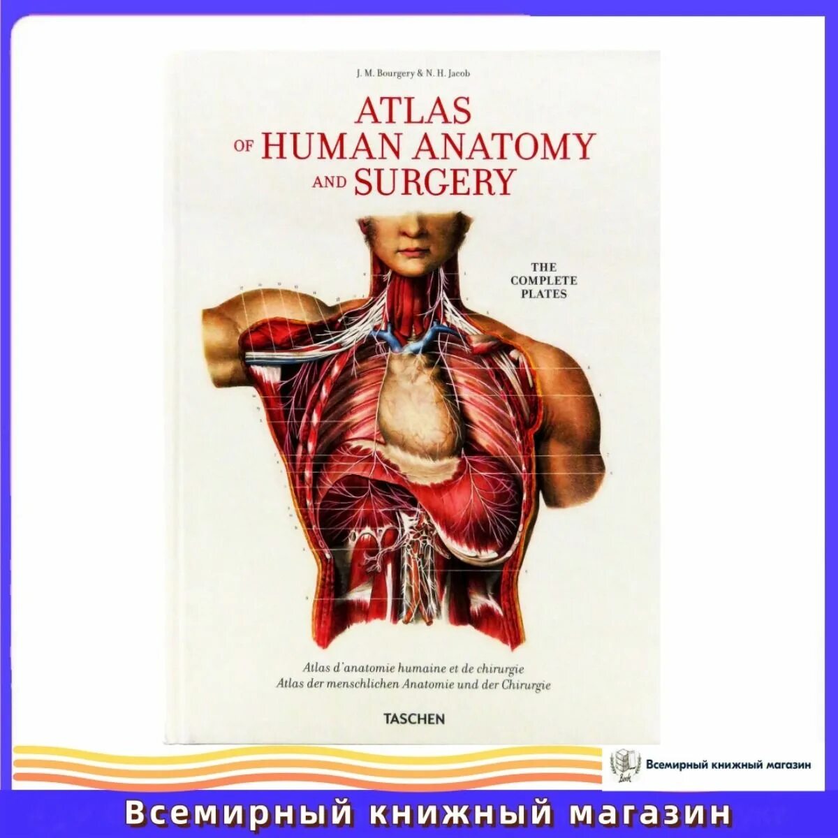 Па солт атлас читать. Па солт атлас читать