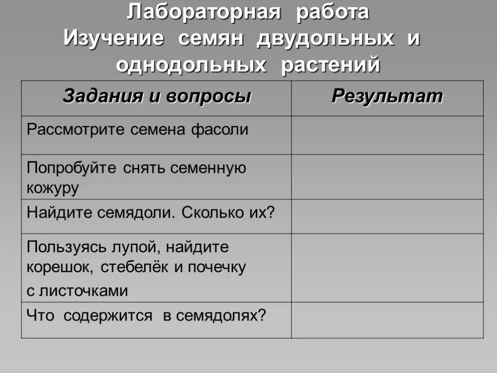 Лабораторная работа биология 6 класс фасоль. Лабораторная работа изучение семян фасоли двудольного растения. Лабораторная работа изучение строения семян. Лабораторная работа строение семян двудольных. Лабораторная работа строение семян.