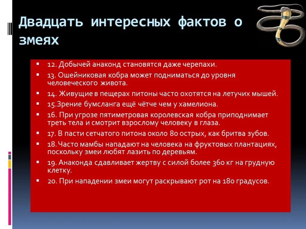 Факты о пресмыкающихся. Факты о змеях для детей. Интересные факты о змеях. 20 интересных фактов о змеях. Факты о змеях.
