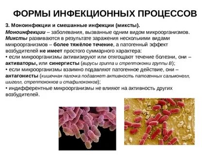 Инфекция и инфекционный процесс