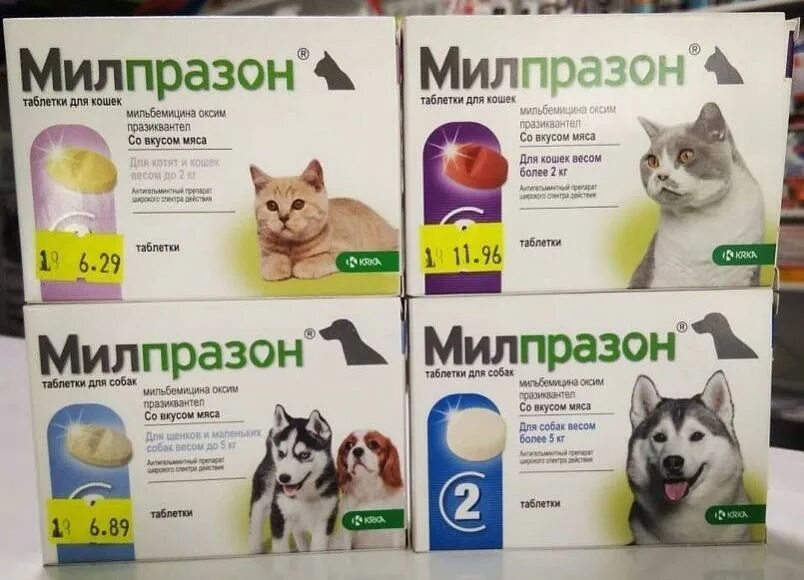 Милпразон для кошек применение