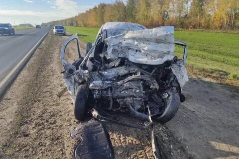 Новости происшествия самые свежие