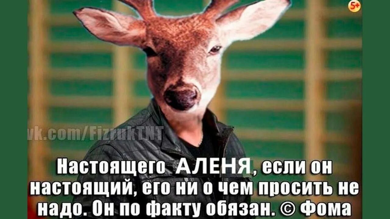 Алень бабораб. Мужчина с рогами. Смешной олень. Мужчина алень. Мужчина с рогами.