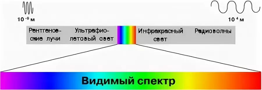 Видимый диапазон спектра. Спектр видимого светового излучения. Видимый спектр волн. Видимый свет диапазон.