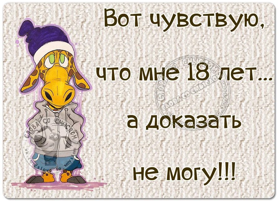 Чувствую сколько. Вот чувствую что мне 18 а доказать не. шешнадцать. да уж не шешнадцать. не шешнадцать.