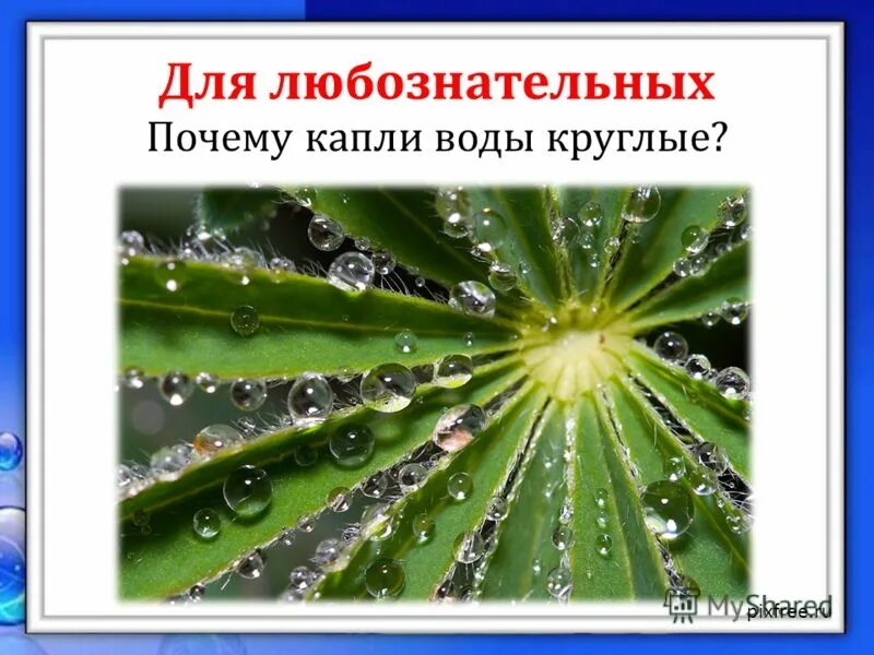 почему капли дождя при встряхивании слетают с одежды. дождь дождь падают капли. эксперимент натяжение воды. весенняя капель. весенняя капель.