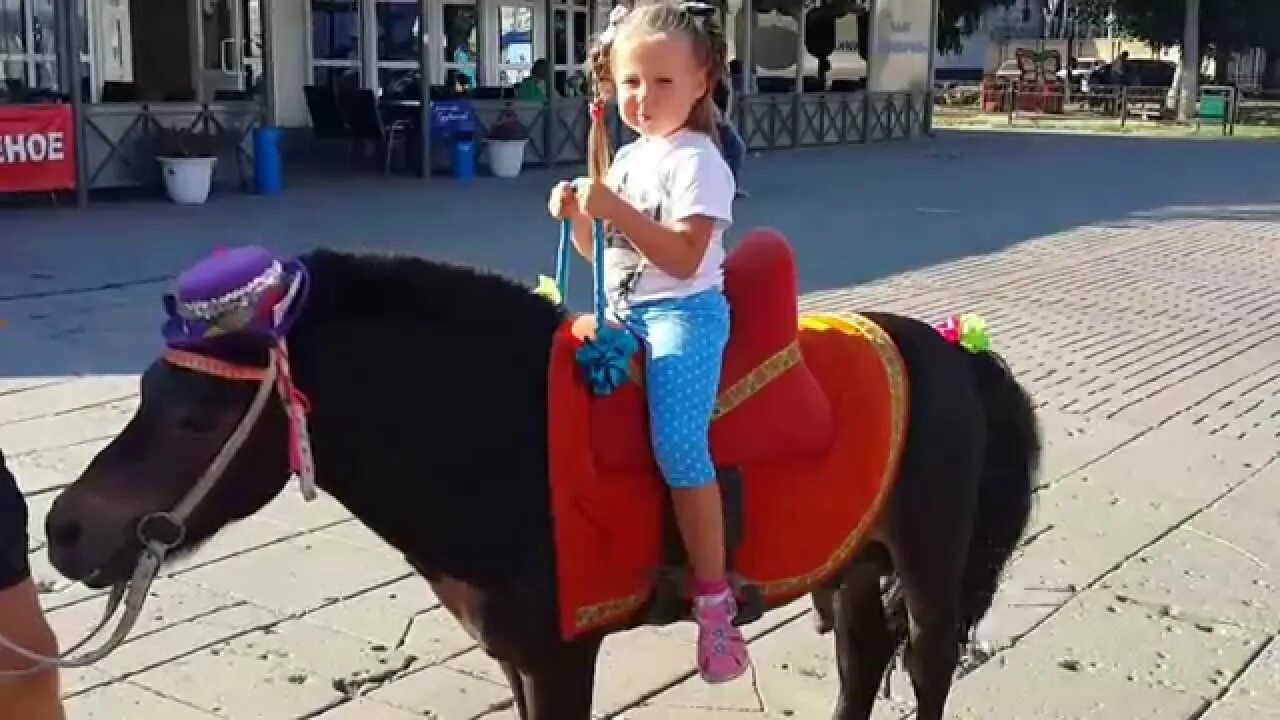 Цирковая лошадь. Дрессировщица стыкан федотова. Эквестрия герлз sunset' backstage pass. Пони в цирке. Девочка пони из цирка.