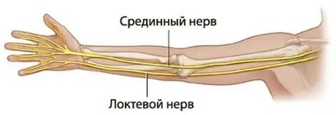 Узи лучевого нерва
