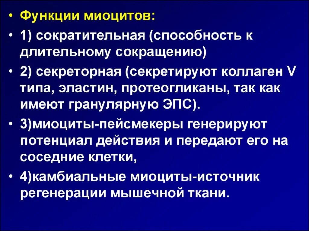 Сократительная способность сохранена. Миоциты функция. Мышечная клетка функции. Функциигладких миоцидов. Функции гладких миоцитов.