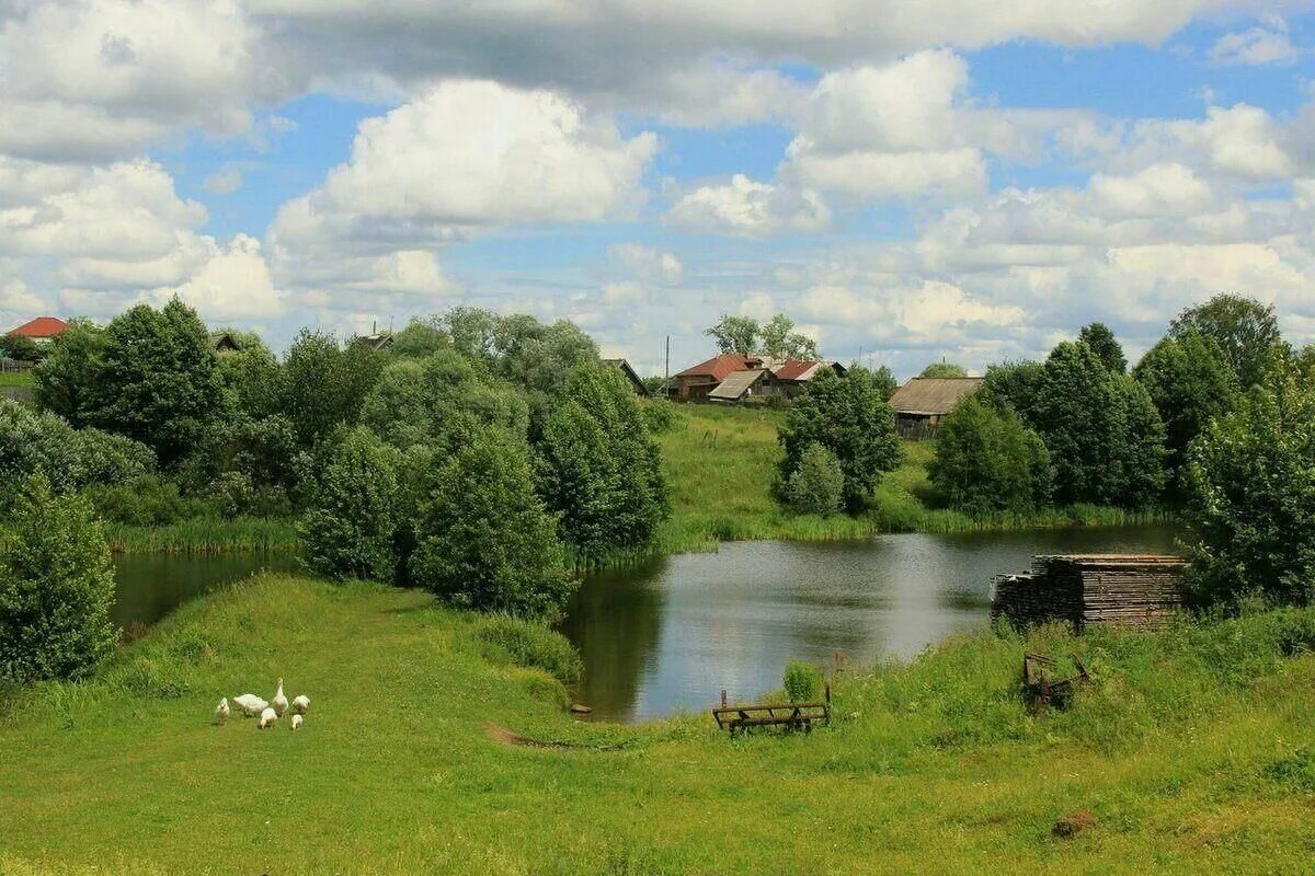 Фотография малой родины. Малая Родина. Природа моей малой Родины. Село Родина. Родина фото.