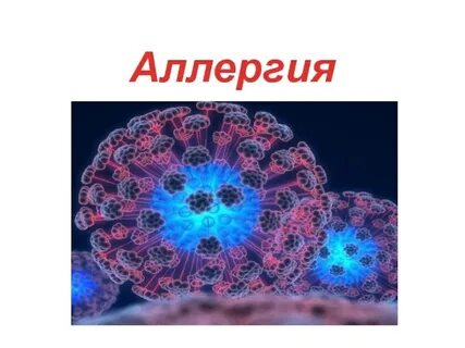 Аллергия презентация