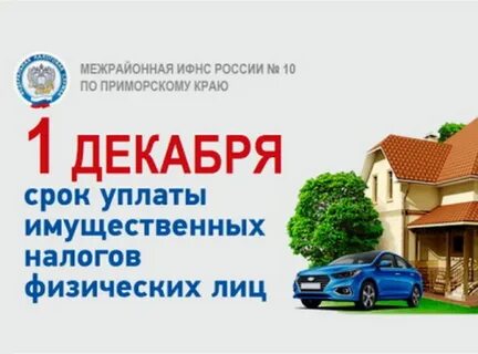 Срок уплаты имущественных налогов юридическим лицом