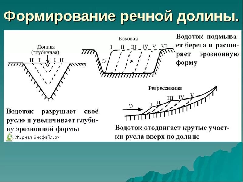 Формирование побережий. Формирование речных долин. донная эрозия рек схема. этапы формирования речной долины. схемы развития речной долины.