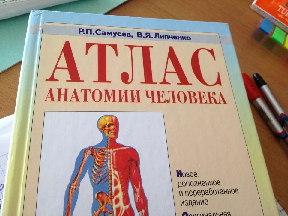 Анатомический атлас Самусев Липченко. Атлас анатомии человека Самусев Липченко. Самусев р п Липченко в я атлас анатомии. Самусев атлас анатомии человека 9 издание. Атлас студентам анатомии