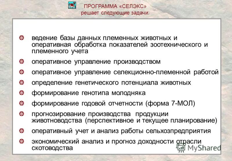 иас «селэкс». селекция в животноводстве.