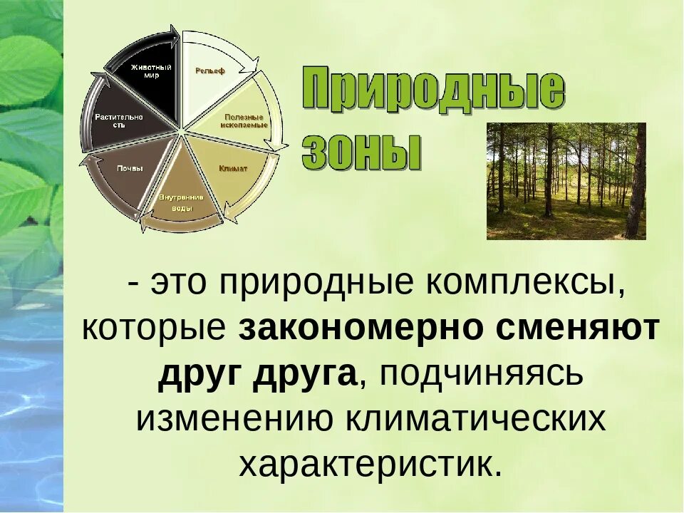 Определение природные компоненты. Природные комплексы. Региональные природные комплексы. Природный комплекс презентация. Природно-территориальный комплекс презентация.