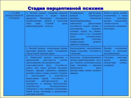 Свойства развития психики человека являются основными