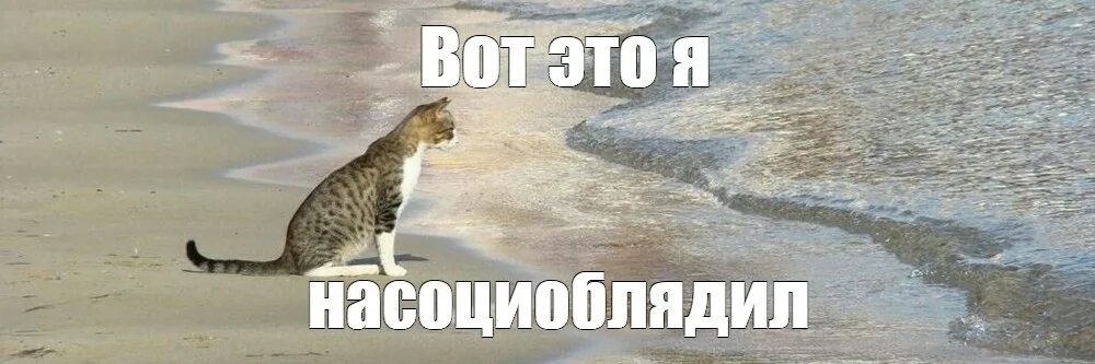 Вот это я рыгнула. Вот это я наговорила мем. вот он я я мем. вот это я наплакал. вот это я нашитпостил.