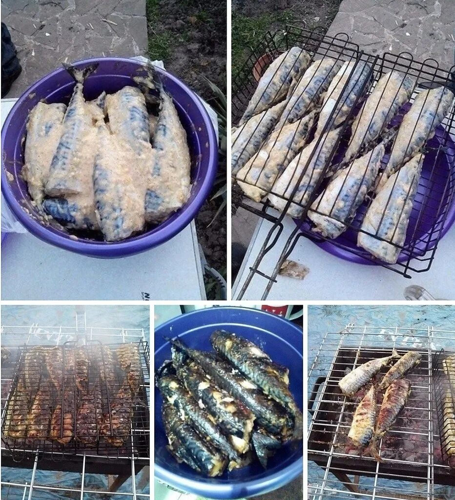 Как замариновать скумбрию для мангала на решетке. Скумбрия на мангале. скумбрия жареная на мангале. скумбрия на мангале на решетке. скумбрия на костре.