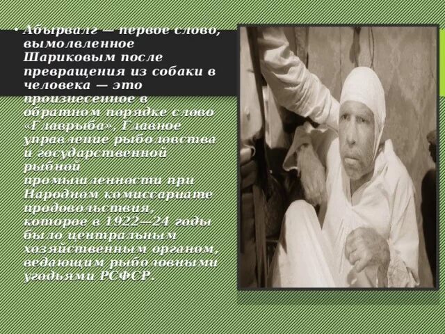 Первые слова шарикова после операции. Собачье сердце цитаты. Абр абр абырвалг собачье сердце. Образ шарикова. Образ шарикова собачье сердце.