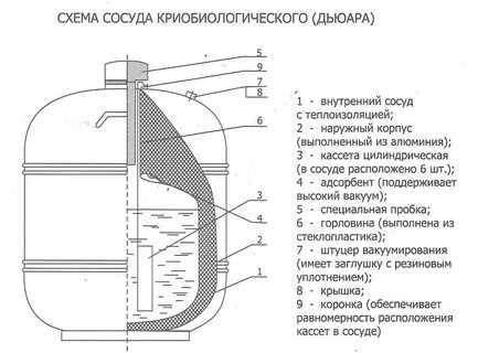 Устройство сосуда